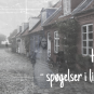 Huserende spøgelser i litteraturen