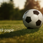 Fra græs til papir – om fodbold og litteratur